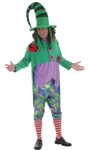 Disfraz Duende Verde