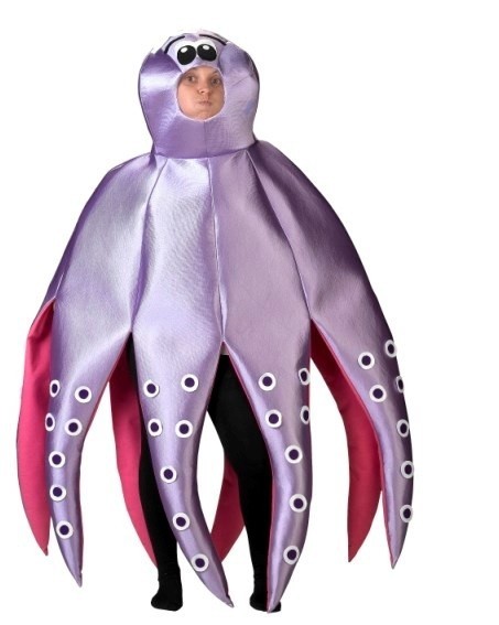 Disfraz de Pulpo