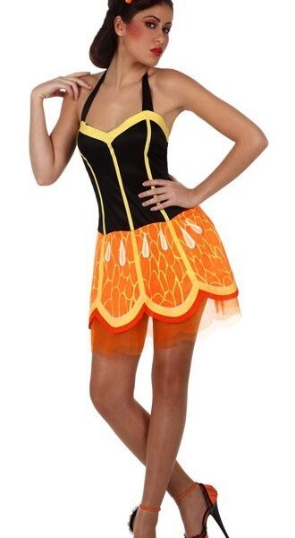 Disfraz Chica Naranja