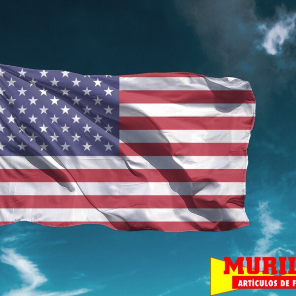 Bandera Estados Unidos de América