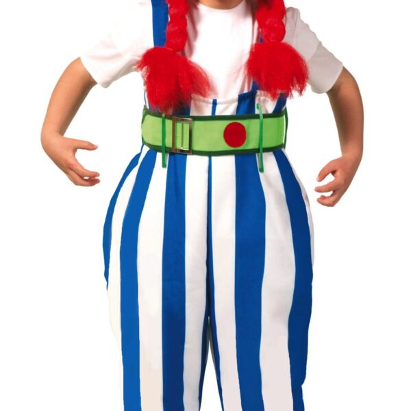 Disfraz de Obelix