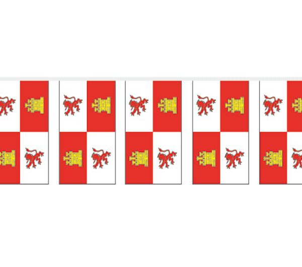 Bolsa Bandera Plástico Castilla León