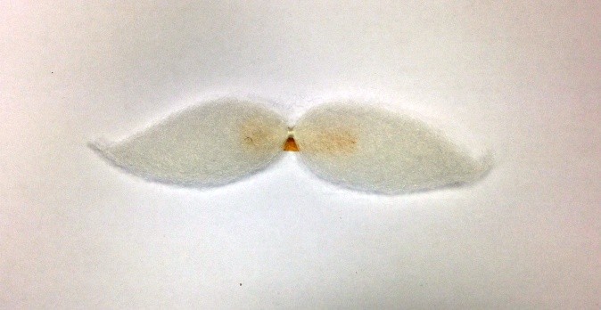 Bigote Mostacho Blanco