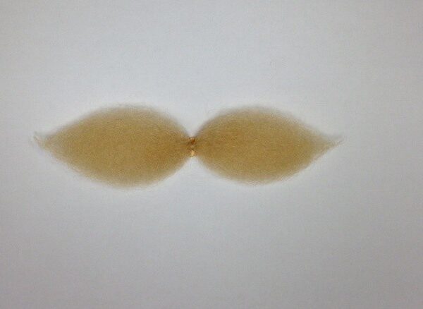 Bigote Mostacho Rubio