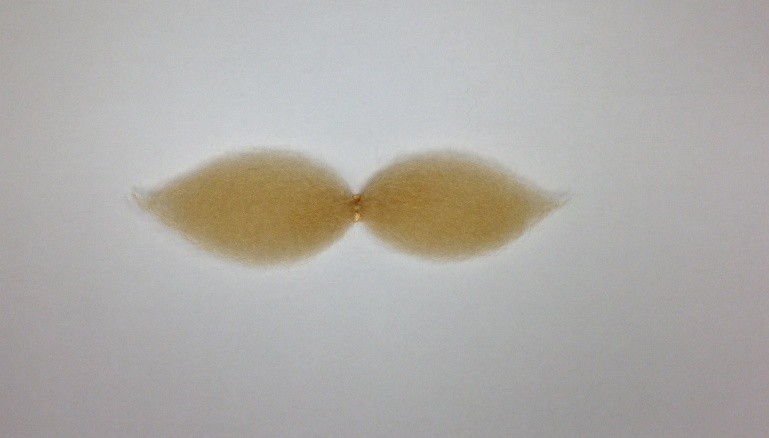 Bigote Mostacho Rubio