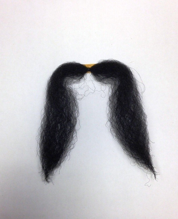 Bigote Chino