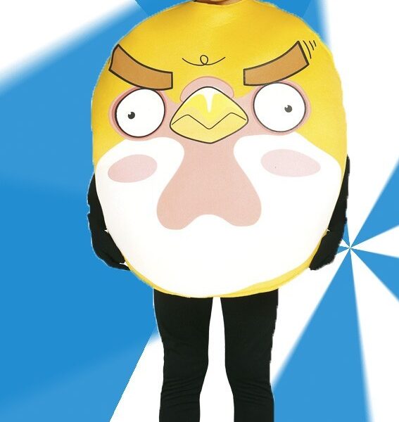 Disfraz de Angry Infantil