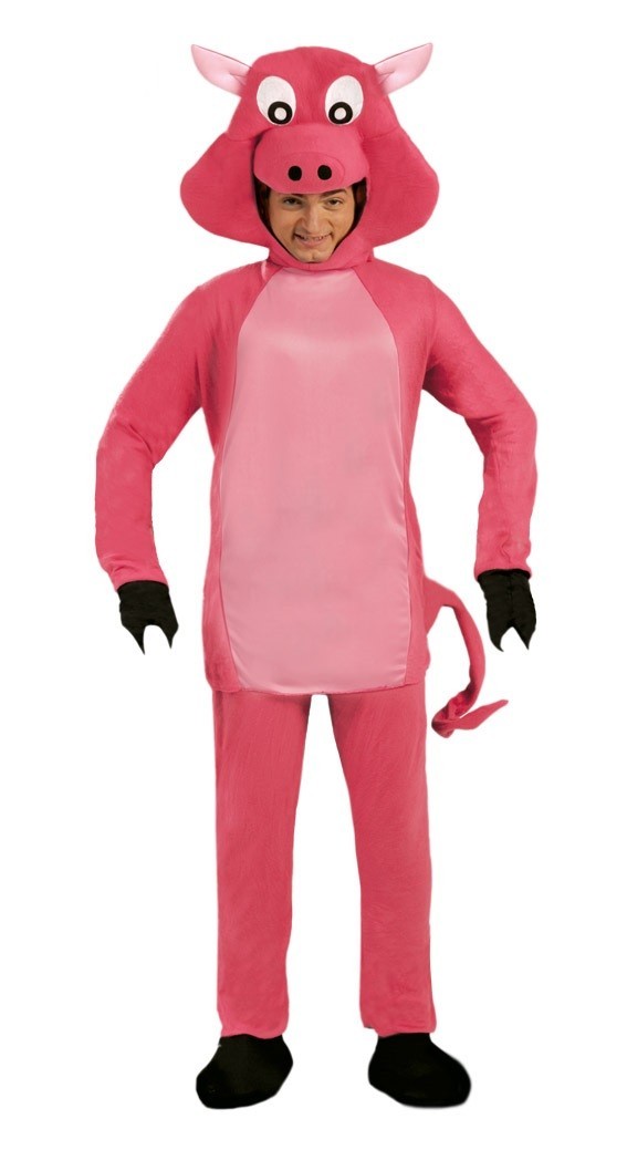 Disfraz de Cerdito