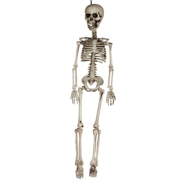 Esqueleto 60cm