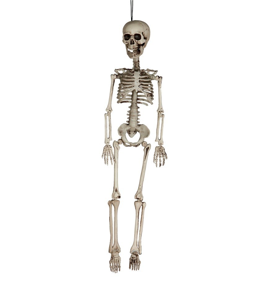 Esqueleto 60cm