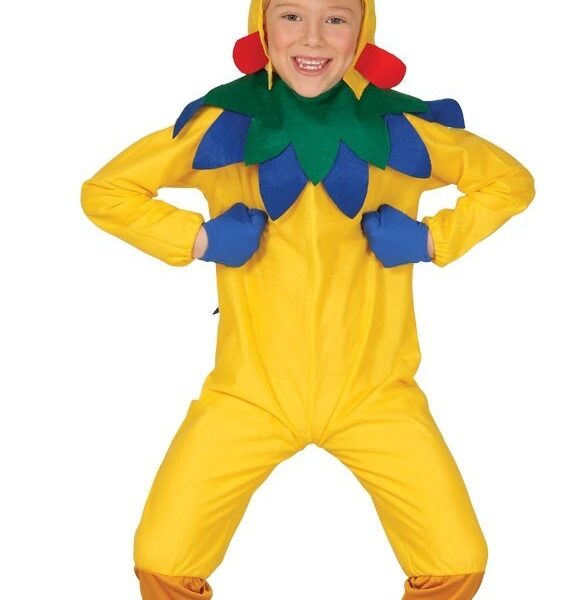 Disfraz de Gallo Infantil