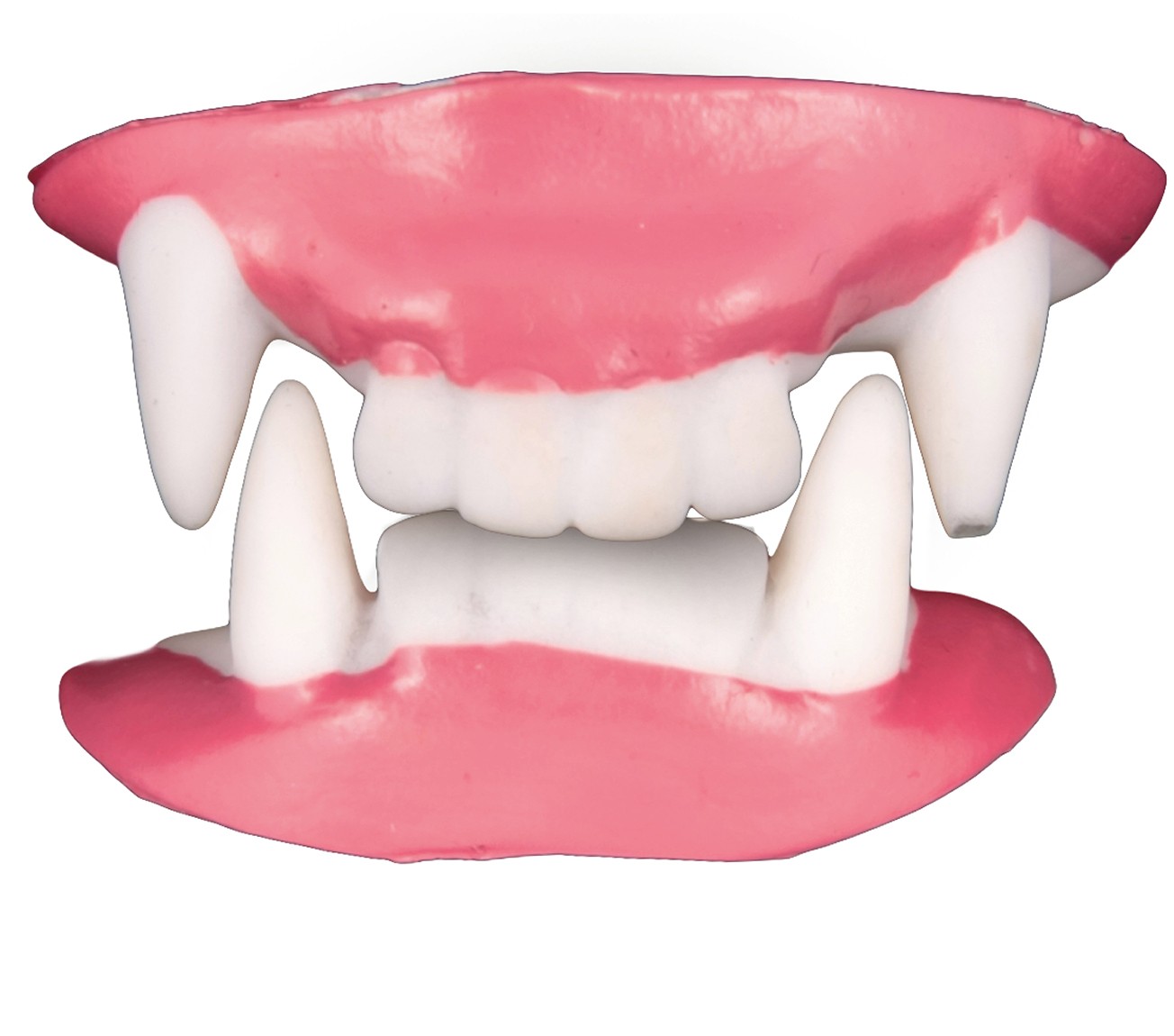 Dentadura Vampiro