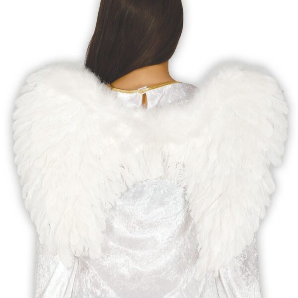 Alas de Angel