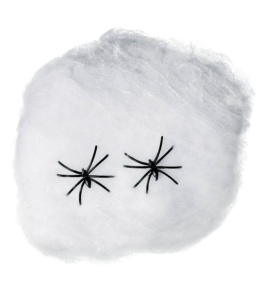 Tela de araña para decoración