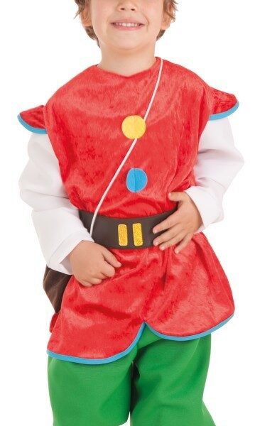 Disfraz de Gnomo infantil