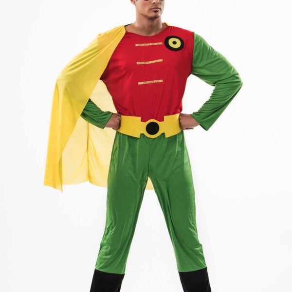 Disfraz de Robin