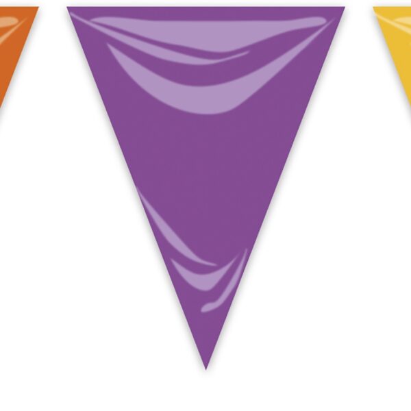 Gallardete de Colores