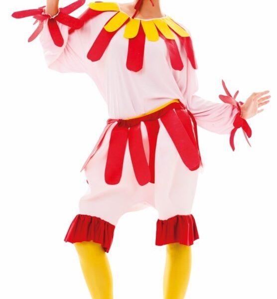 Disfraz de Gallina