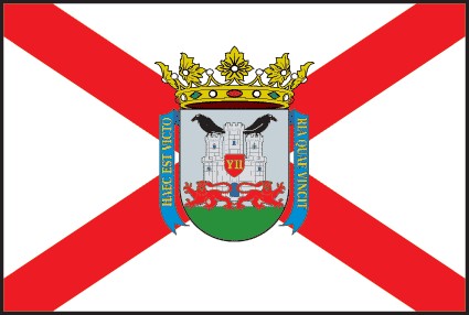 Bandera de Vitoria Ciudad