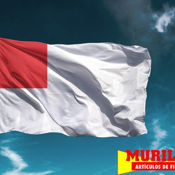 Bandera de Bilbao Ciudad