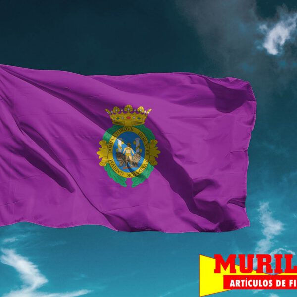 Bandera de Cádiz Ciudad