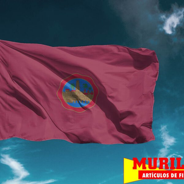 Bandera de Córdoba ciudad
