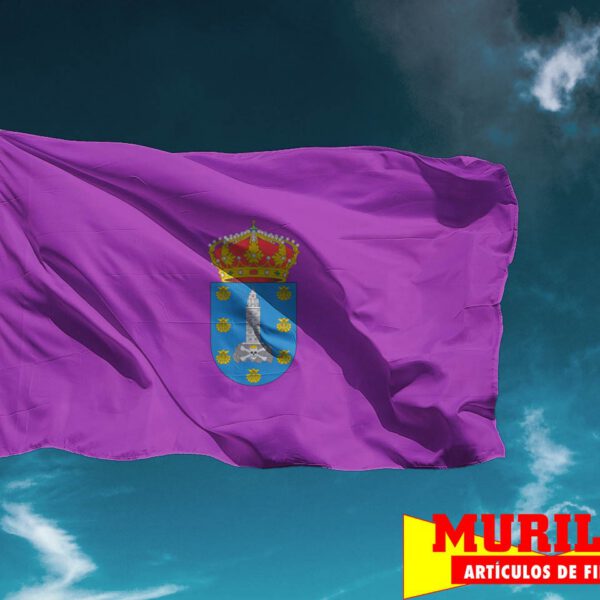 Bandera de La Coruña ciudad