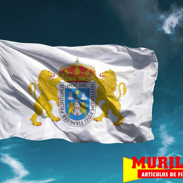 Bandera de Lugo Capital