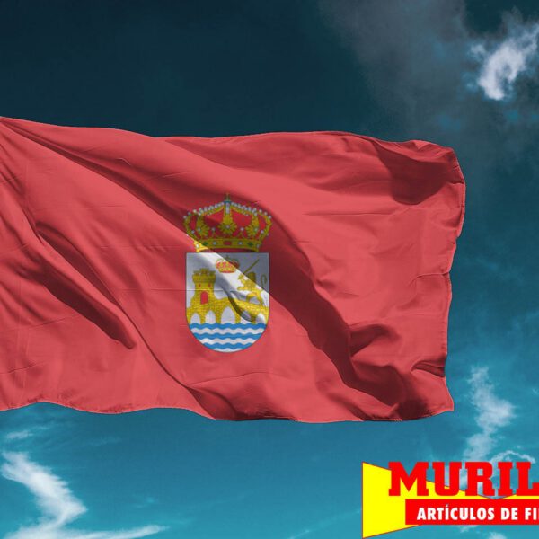 Bandera de Ourense ciudad