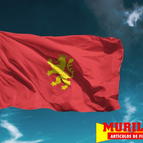 Bandera de Zaragoza ciudad