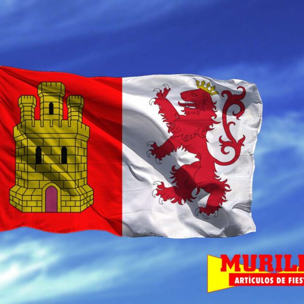 Bandera de Cáceres Capital