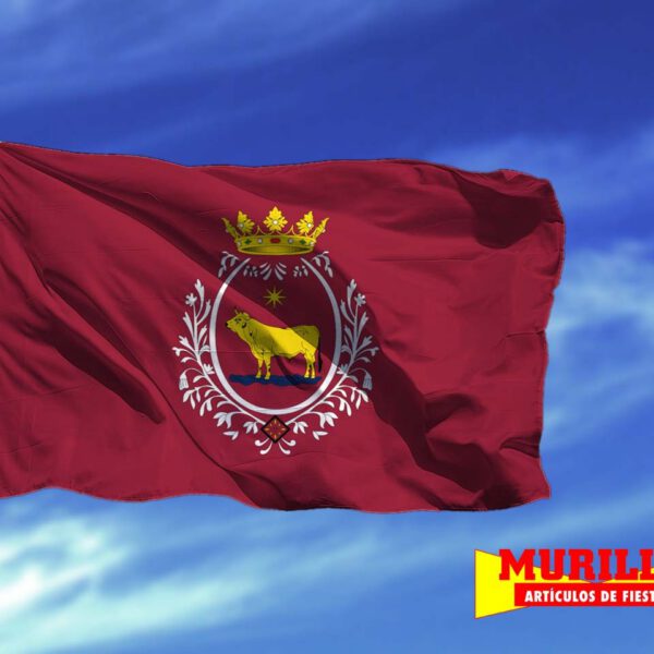Bandera de Teruel Ciudad