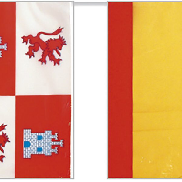 Bandera de plástico España con Castila Leon