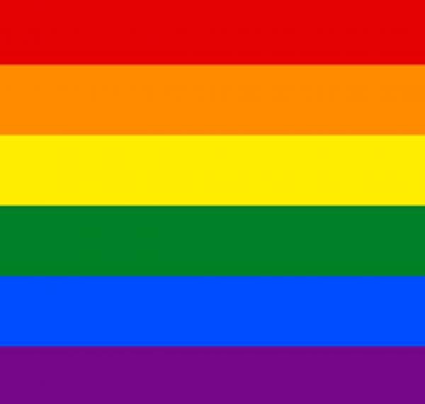 Bandera Orgullo Económica