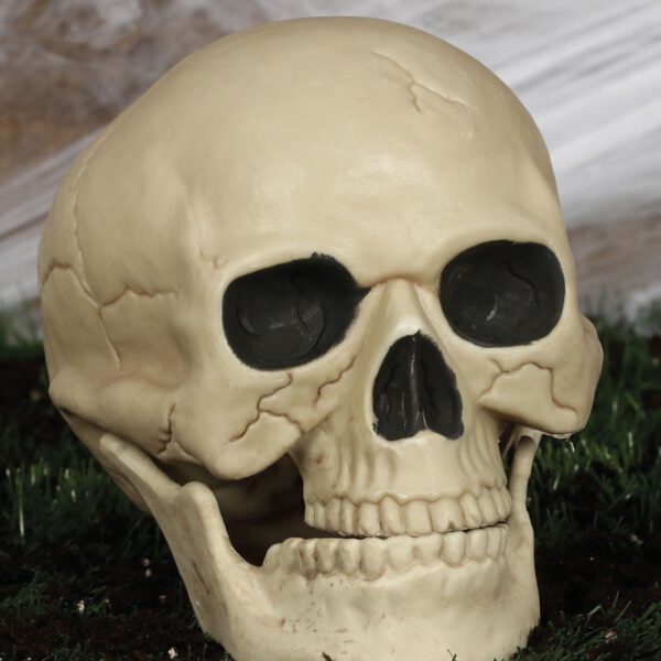 Calavera