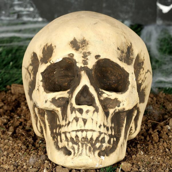 Calavera Foam