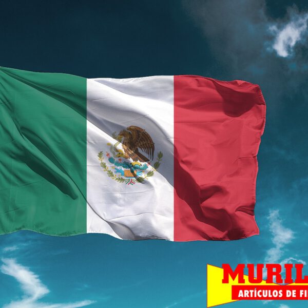 Bandera de Mexico