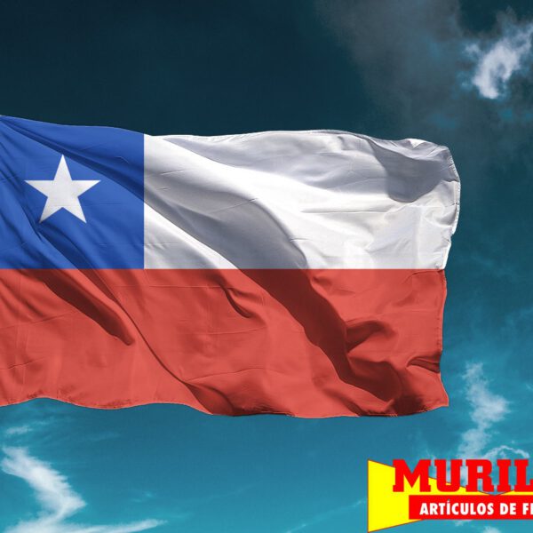 Bandera de Chile