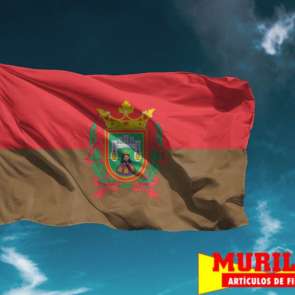Bandera de Burgos