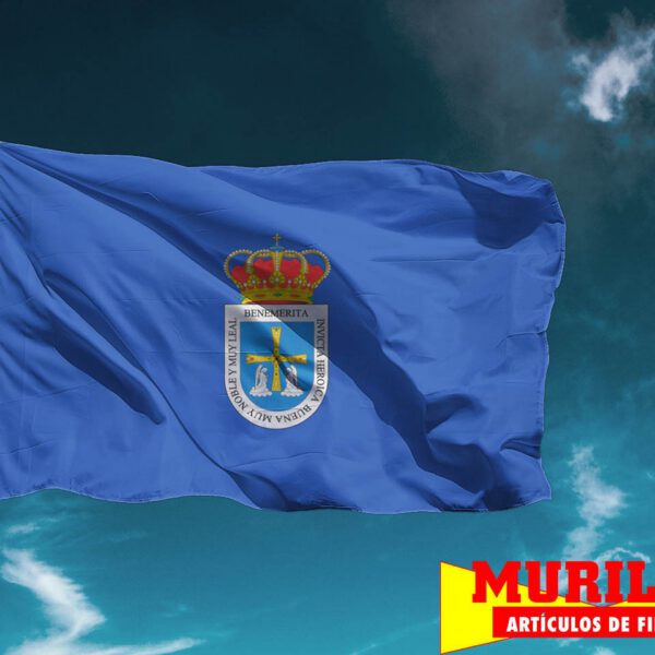 Bandera de Oviedo Ciudad