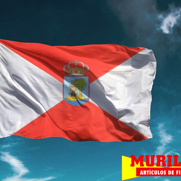 Bandera de Vigo