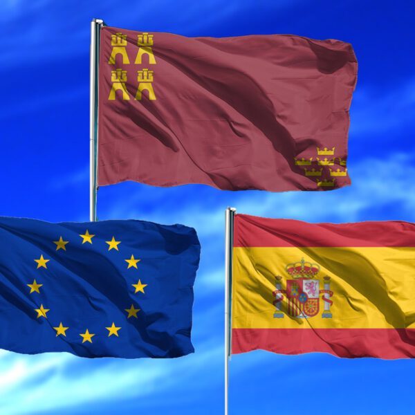 Lote de Banderas de Murcia