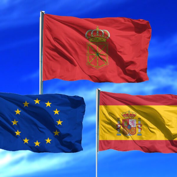 Lote de Banderas de Navarra