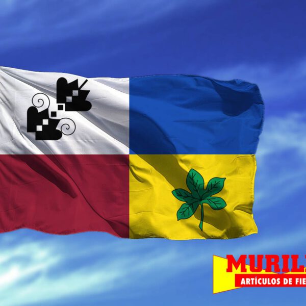Bandera de Lagartera