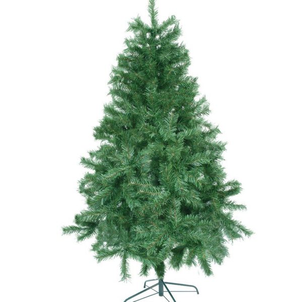 Arbol Andino