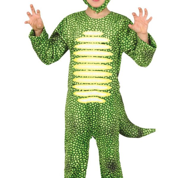 Disfraz de Triceratops para niño
