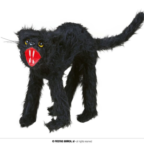 Gato negro