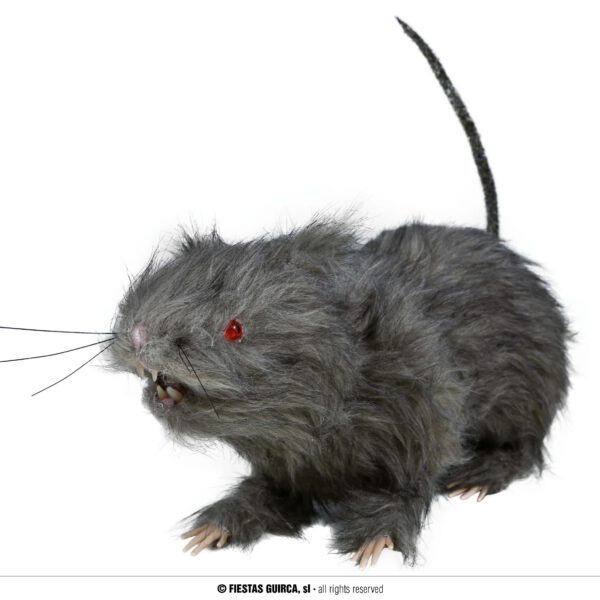 Rata con luz