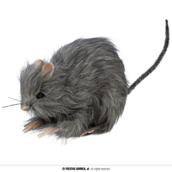 Rata gris peluda