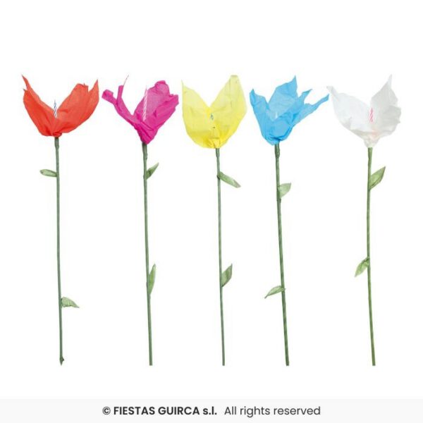 Tulipán de Baile